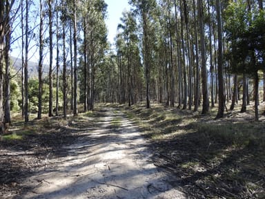 Property Tubbs Road, BLACKWOOD CREEK TAS 7301 IMAGE 0