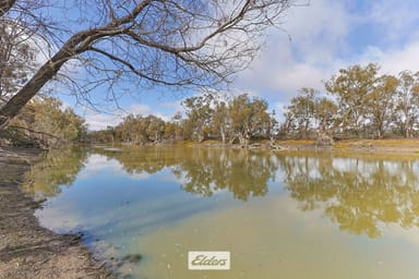 Property 4897 Silver City Highway, Wentworth NSW 2648 IMAGE 0