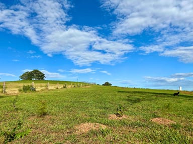 Property 210 Tallowwood Street, Maleny QLD 4552 IMAGE 0