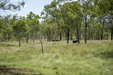 Property GAYNDAH QLD 4625 IMAGE 0