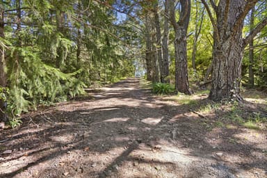 Property 174 Mountain Lagoon Road, BILPIN NSW 2758 IMAGE 0