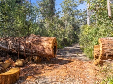 Property Lot 16 Lower Bobo Road, Ulong NSW 2450 IMAGE 0