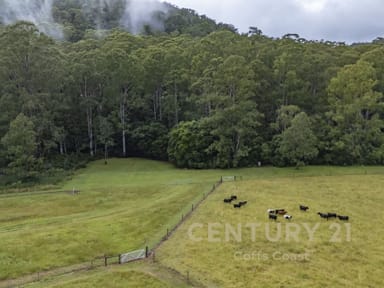 Property 701 Moleton Road, Lowanna NSW 2450 IMAGE 0