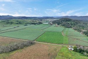Property 141 Nicol Road, Hampden QLD 4741 IMAGE 0