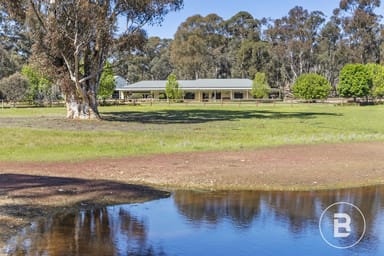 Property 22 Damien Court, Muckleford VIC 3451 IMAGE 0