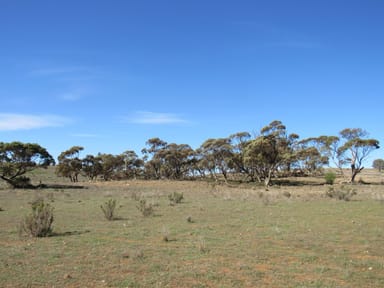 Property Lot 91 Chapman Road, Walloway SA 5431 IMAGE 0