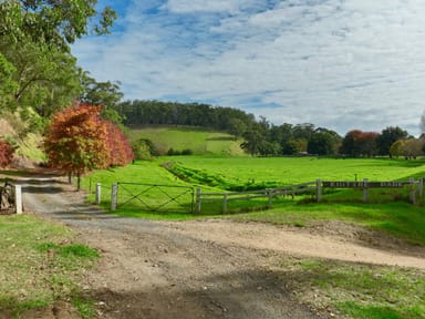 Property 453 Buchan-Orbost Road, Bete Bolong VIC 3888 IMAGE 0