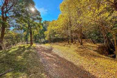 Property CA1/SEC 5 Buckland River Track, Buckland VIC 3740 IMAGE 0