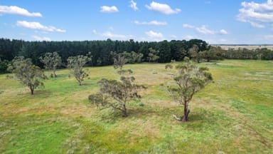 Property Lot 459 Riddoch Highway, Dismal Swamp SA 5290 IMAGE 0