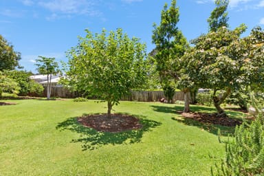 Property 41 Licuala Drive, TAMBORINE MOUNTAIN QLD 4272 IMAGE 0