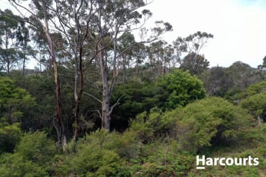 Property Lot 1 Cape Portland Road, GLADSTONE TAS 7264 IMAGE 0