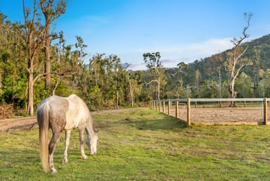 Property 107 Welches Road, WONGAWALLAN QLD 4210 IMAGE 0