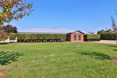 Property Clifton Street, Clifton Hill VIC 3068 IMAGE 0