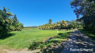 Property 39 McDowall Lane, Lower Daintree QLD 4873 IMAGE 0