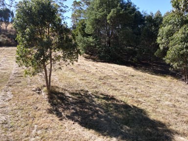 Property 21 Dunn Drive, SURVEYORS BAY TAS 7116 IMAGE 0