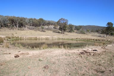 Property 203 Woodside Road, Tenterfield NSW 2372 IMAGE 0