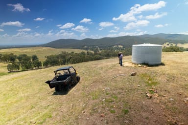 Property MEADOW CREEK VIC 3678 IMAGE 0