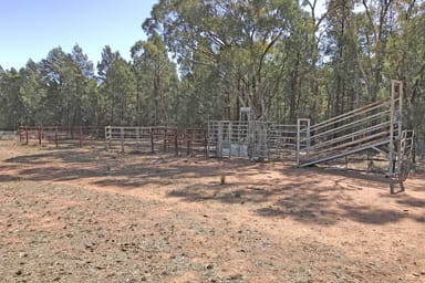 Property 260 Dilladerry Road, Tomingley NSW 2869 IMAGE 0
