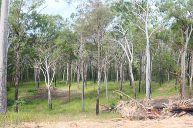 Property 82, 395 Bruxner Road, Drake NSW 2469 IMAGE 0
