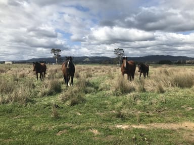 Property Lot 2 Jumbuk Road, Yinnar VIC 3869 IMAGE 0