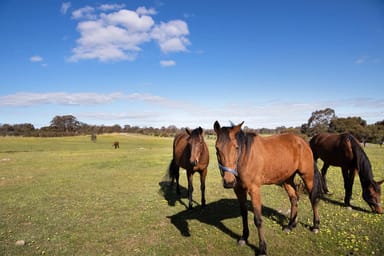 Property Lot 4 Axe Creek Road, Axe Creek VIC 3551 IMAGE 0