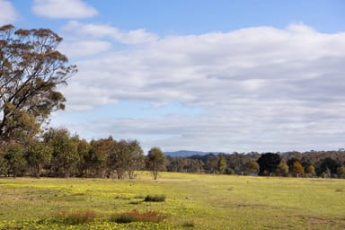 Property Lot 4 Axe Creek Road, Axe Creek VIC 3551 IMAGE 0