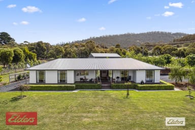 Property 445 Boyer Road, Dromedary TAS 7030 IMAGE 0