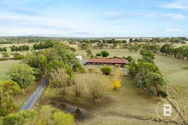 Property 61 Schreenans Road, Bonshaw VIC 3352 IMAGE 0