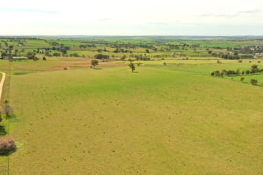 Property Cemetery Road, Murrumburrah NSW 2587 IMAGE 0