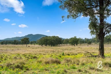 Property Lot 101 & 103 Glendonbrook Road, Singleton NSW 2330 IMAGE 0