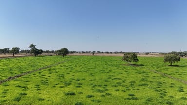 Property 8109 Murray Valley Highway, Kerang East VIC 3579 IMAGE 0