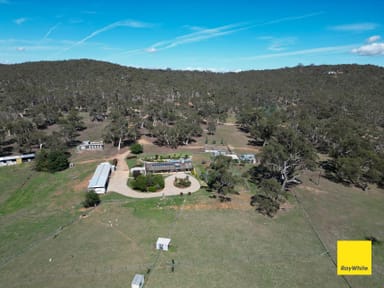 Property 451 Neils Creek Road, Bungendore NSW 2621 IMAGE 0