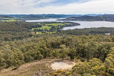 Property Lot 1, Huon Highway, SURGES BAY TAS 7116 IMAGE 0