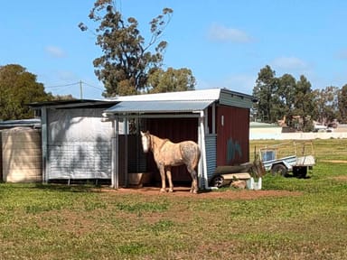 Property 104 Coolamon Street, Ariah Park NSW 2665 IMAGE 0
