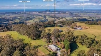 Property 555 Tourist Road, Bellawongarah NSW 2535 IMAGE 0