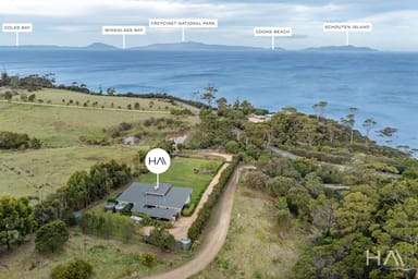 Property 11903 Tasman Highway, Rocky Hills TAS 7190 IMAGE 0