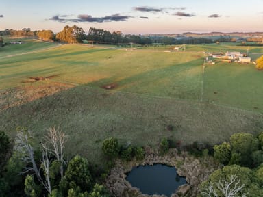 Property 822 Mount Hicks Road, Mount Hicks TAS 7325 IMAGE 0