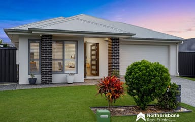 Property 10 Grey Crescent, Narangba QLD 4504 IMAGE 0