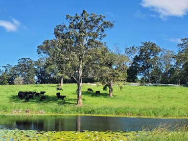 Property ROLLANDS PLAINS NSW 2441 IMAGE 0