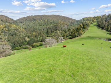 Property Lot 1 Forest Lodge Road, PYENGANA TAS 7216 IMAGE 0