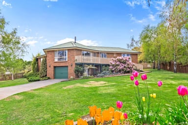 Property 34 Lansdowne Place, DELORAINE TAS 7304 IMAGE 0