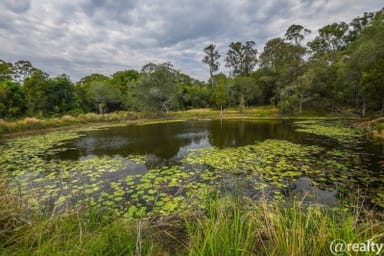 Property Lot 1 Turnbull Road, Corella QLD 4570 IMAGE 0