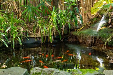 Property 82 Fiddaman Rd, Emerald Beach NSW 2456 IMAGE 0