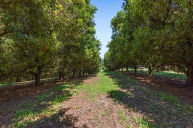 Property 343 Commissioners Flat Road, Peachester QLD 4519 IMAGE 0