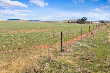 Property Niemz'S' Niemz Road, Emu Downs SA 5381 IMAGE 0