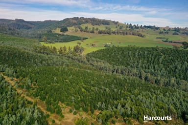 Property 1, 1 Pinega Road, RINGAROOMA TAS 7263 IMAGE 0