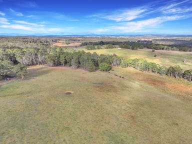 Property Lot 337 Bucky Springs Road, BOMBALA NSW 2632 IMAGE 0