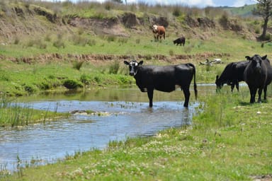 Property 6292 Killarney Gap Road, NARRABRI NSW 2390 IMAGE 0