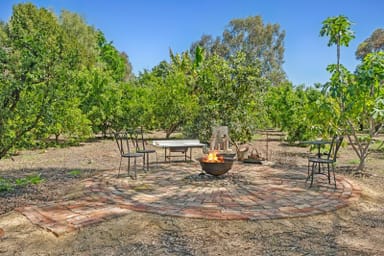 Property 8 The Avenue, Waikerie SA 5330 IMAGE 0