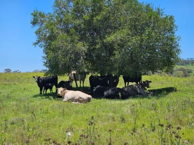 Property Lot 32 Haden Crows Nest Rd, Pinelands QLD 4355 IMAGE 0